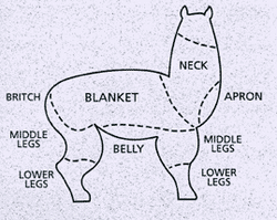Chart of Alpaca Fleece Cuts